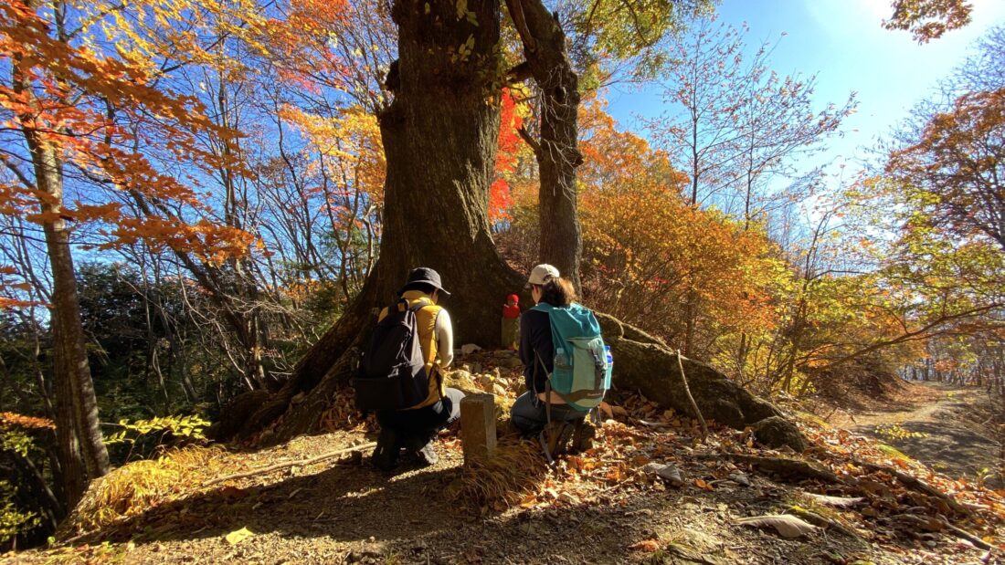 Fall Hiking in Uenomura: Mt. Kasamaru Jizo Ridgeline