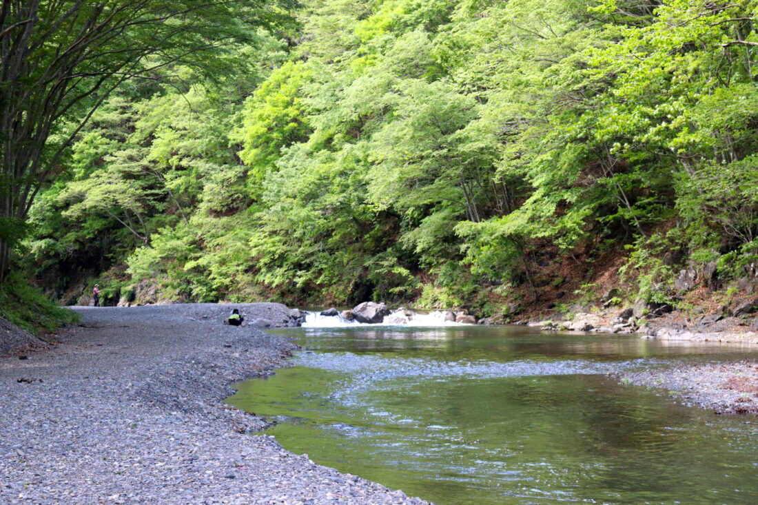 Rambling through a scenic village: Valley stream fishing
