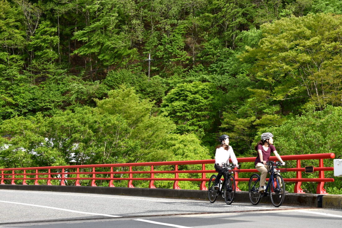 Rambling through a scenic village: Forest Roads E-bike Ride