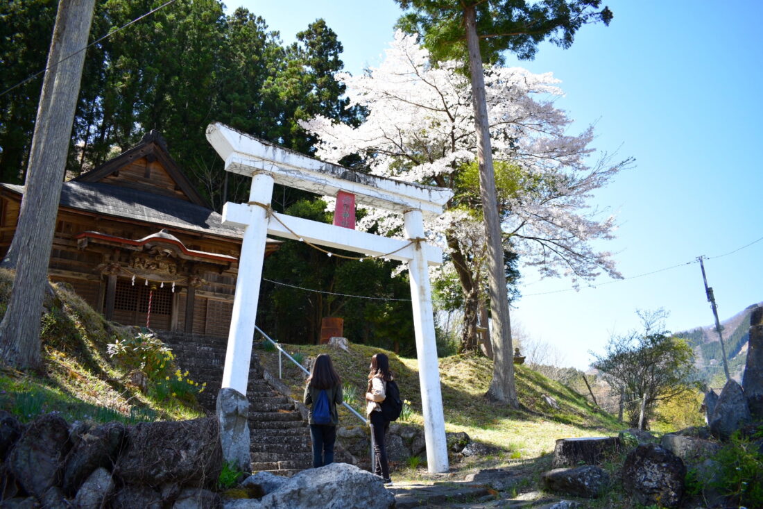 上野村で春の散歩ツアーを楽しむ: 新羽神社