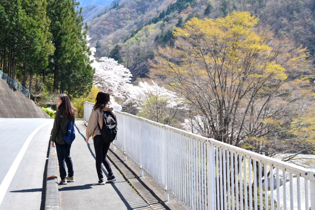 上野村で春の散歩ツアーを楽しむ