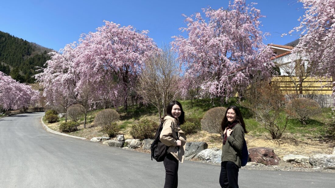 Spring Blossoms Walking Route in Uenomura: Villa Seseragi