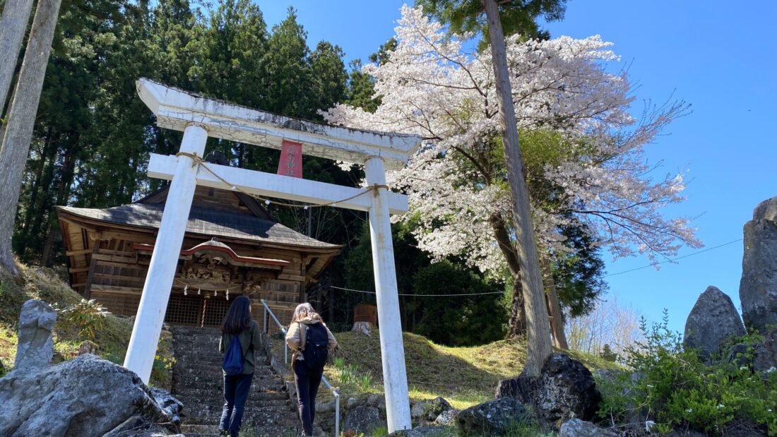 Spring Blossoms Walking Route in Uenomura: Nippa shrine